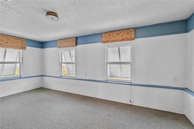 carpeted spare room featuring plenty of natural light and a textured ceiling