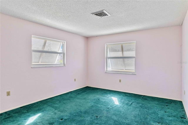 spare room featuring carpet flooring, a textured ceiling, and a wealth of natural light