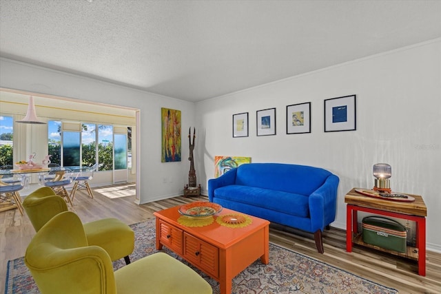 living room with wood-type flooring and a textured ceiling