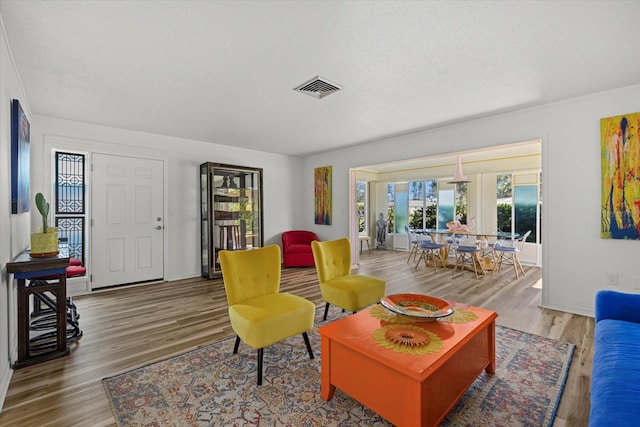 living room with a textured ceiling and hardwood / wood-style flooring