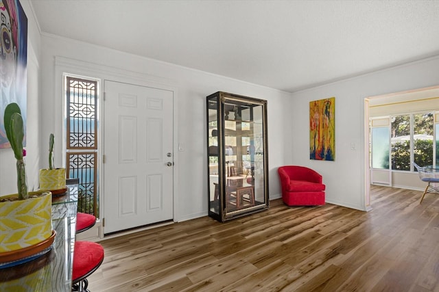 foyer with hardwood / wood-style flooring and ornamental molding