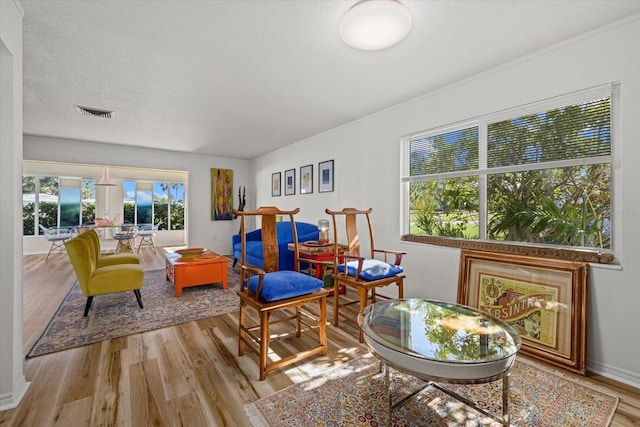 living area with light wood-type flooring and a textured ceiling