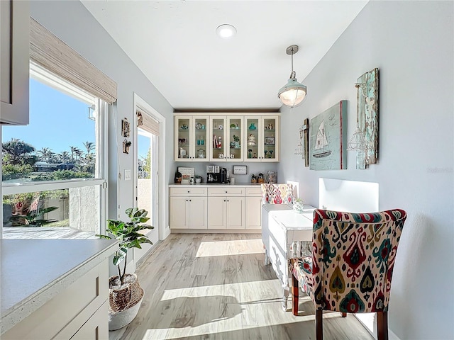 interior space featuring light hardwood / wood-style floors