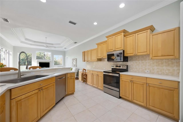 kitchen with sink, appliances with stainless steel finishes, backsplash, a tray ceiling, and ornamental molding