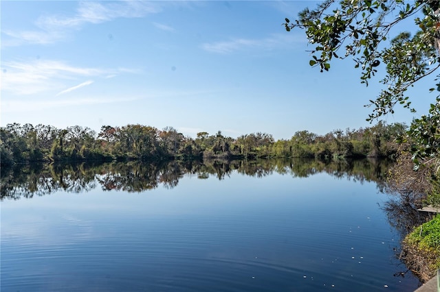 property view of water featuring a forest view