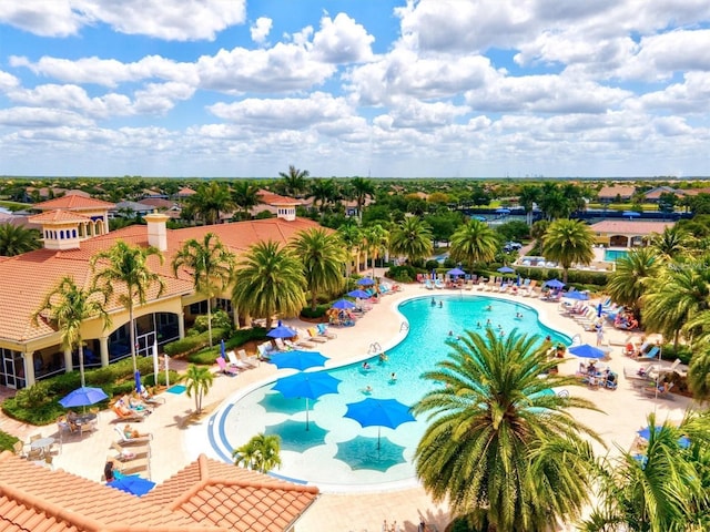 view of pool featuring a patio