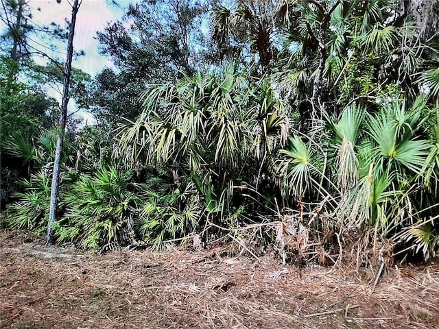 Listing photo 2 for LOT22 Surf Ave, North Port FL 34291