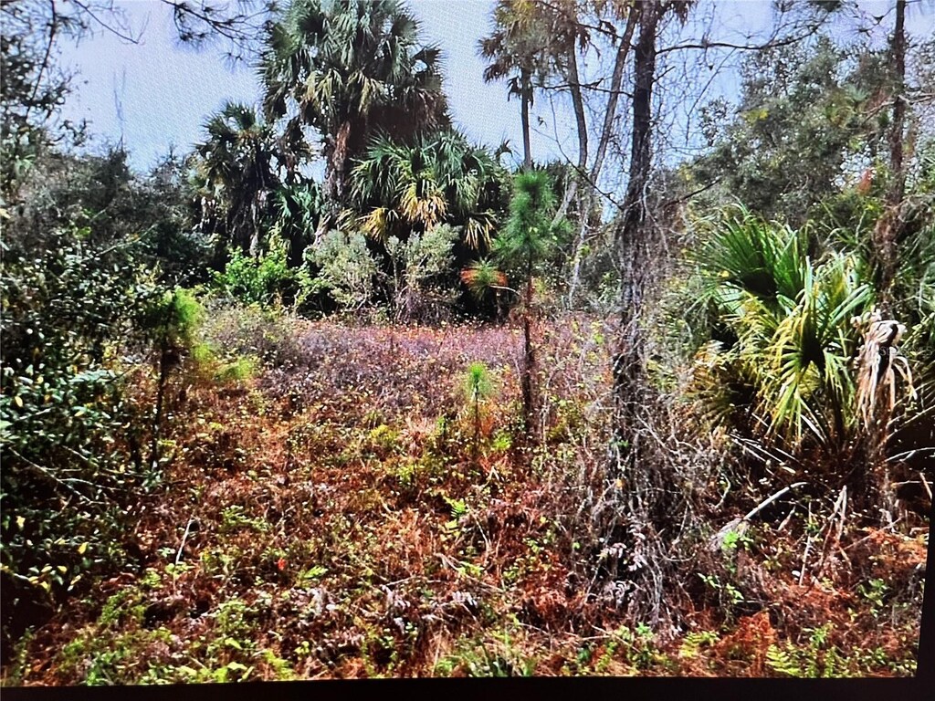 LOT31 Corbett Ln, North Port, FL 34288 - photo 2