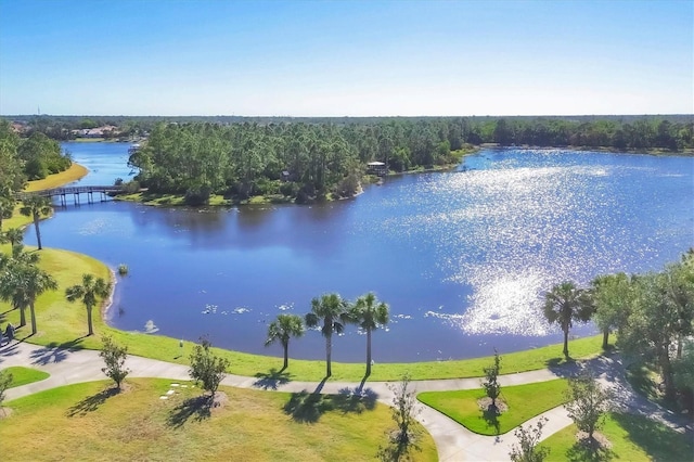 bird's eye view with a water view