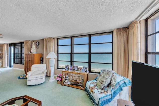 carpeted living room with a textured ceiling and a wealth of natural light