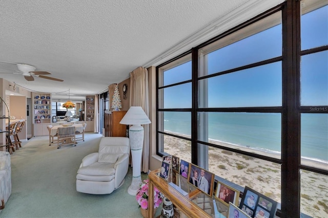 living room with carpet flooring, a textured ceiling, a water view, and a view of the beach