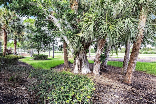 134 Savona Way N, Venice, FL 34275 - view of yard