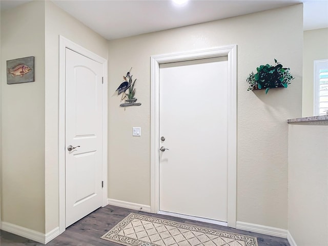 foyer featuring wood-type flooring