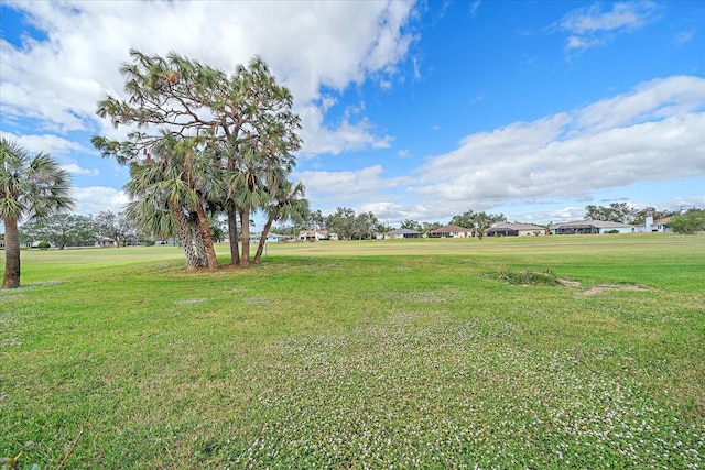 1211 Capri Isles Blvd Unit 58, Venice, FL 34292 - view of grassy yard