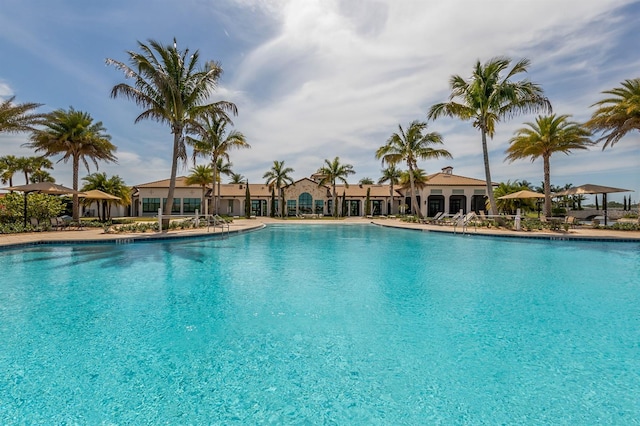 view of swimming pool