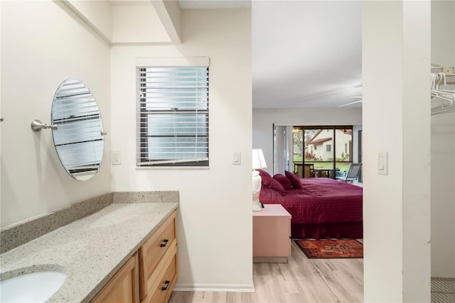 bathroom with hardwood / wood-style floors and vanity