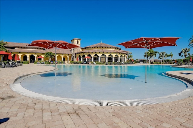 view of pool featuring a patio area