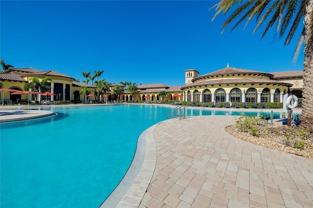 20100 Ragazza Cir Unit 101, Venice, FL 34293 - community pool featuring a patio area