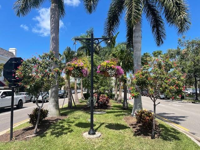 20100 Ragazza Cir Unit 101, Venice, FL 34293 - view of community featuring a lawn