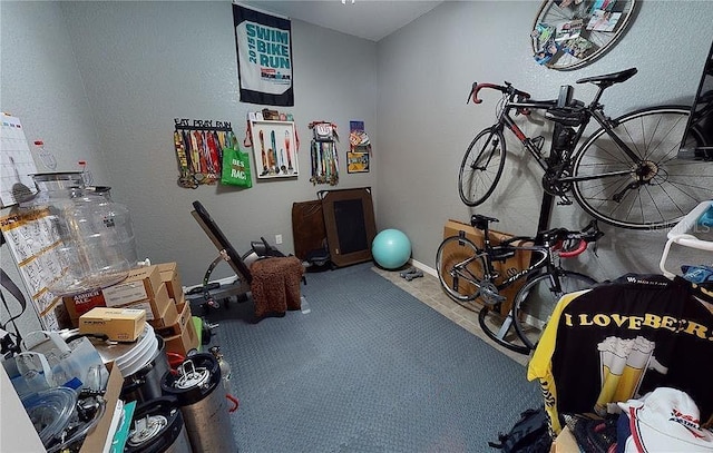 workout room with carpet flooring