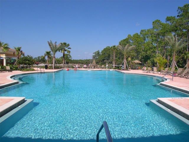 view of swimming pool featuring a patio