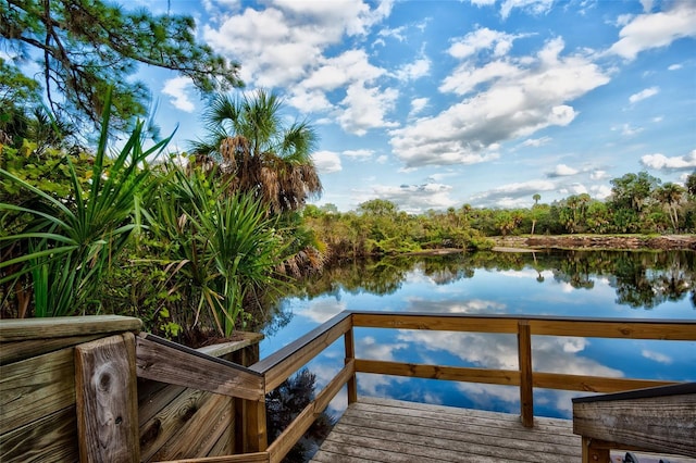 dock area with a water view