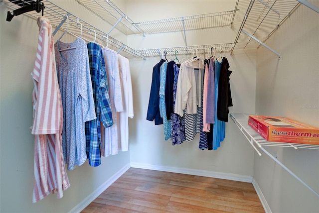 walk in closet featuring wood-type flooring