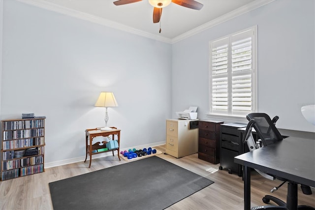 home office with crown molding, ceiling fan, and light wood-type flooring