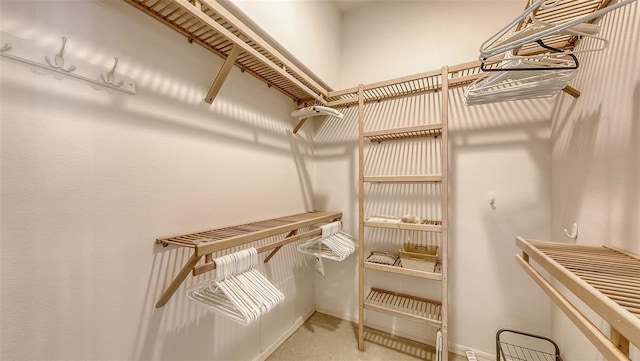275 Royal Oak Way, Venice, FL 34292 - walk in closet featuring carpet flooring