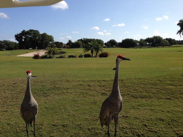 275 Royal Oak Way, Venice, FL 34292 - view of home's community featuring a yard