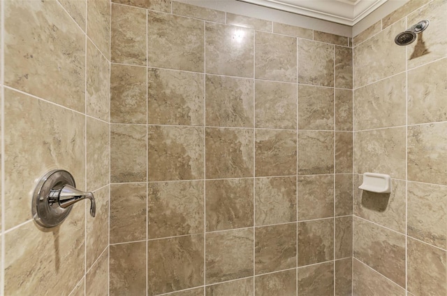 interior details with tiled shower