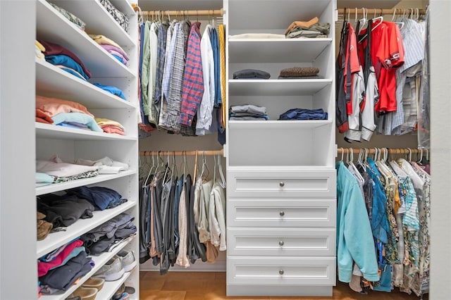 view of walk in closet