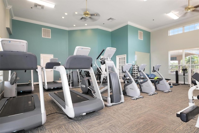 exercise room with carpet, ceiling fan, and crown molding