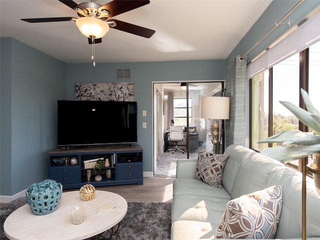 living room with ceiling fan and light wood-type flooring