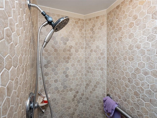 interior details featuring walk in shower