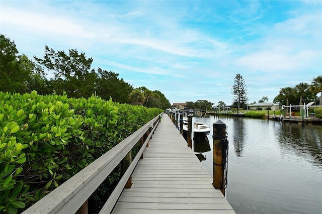 dock area with a water view