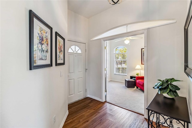 entryway featuring hardwood / wood-style flooring