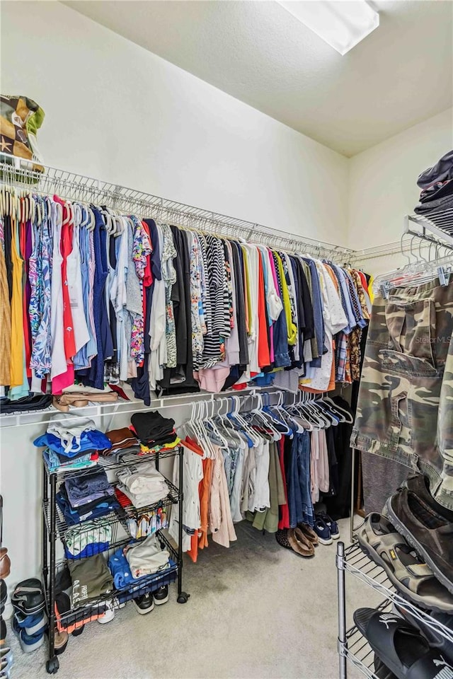 spacious closet featuring carpet