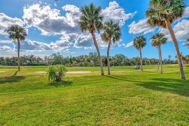 view of community with a yard