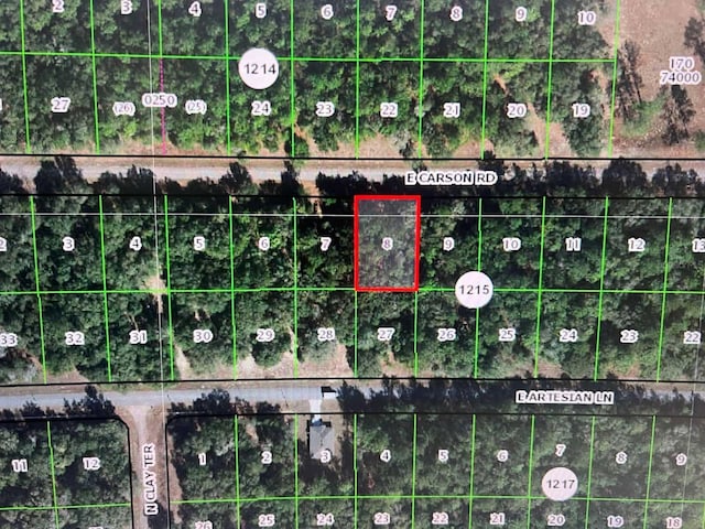 1666 E Carson Rd, Dunnellon FL, 34434 land for sale