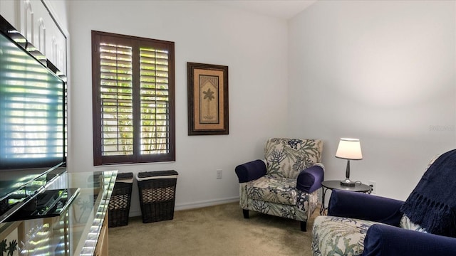 living area featuring light colored carpet