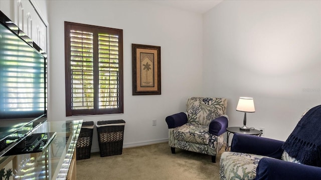 287 Cassano Dr, Nokomis, FL 34275 - photo 29