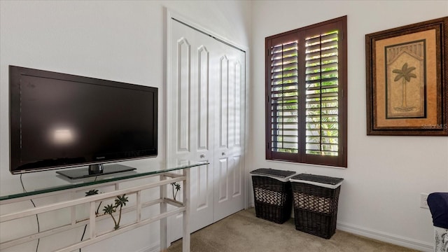 interior space featuring light carpet and plenty of natural light