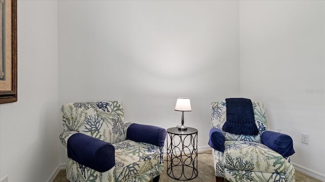 sitting room featuring carpet