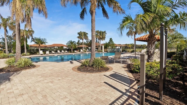 view of swimming pool with a patio area