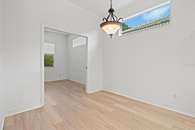 spare room with light hardwood / wood-style flooring