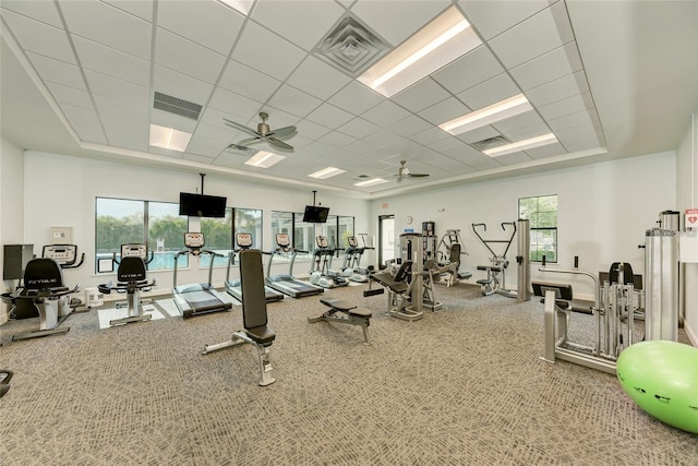 workout area featuring carpet, ceiling fan, and a drop ceiling