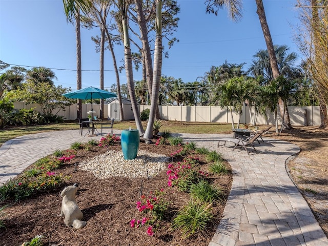 view of yard featuring a shed and a patio area