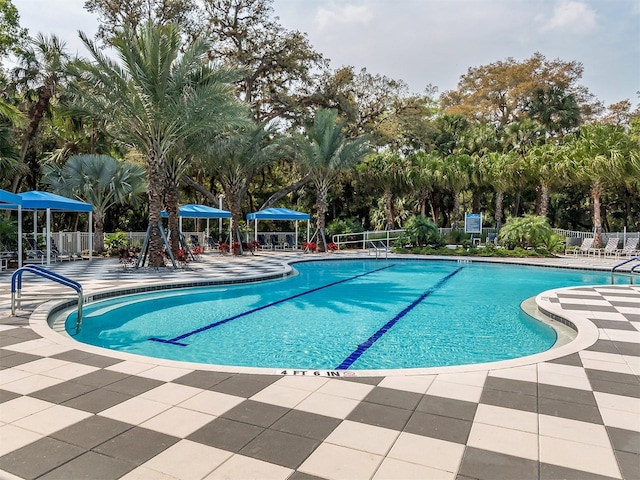 view of swimming pool with a patio area