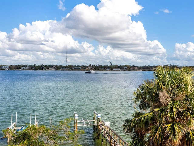 water view featuring a boat dock